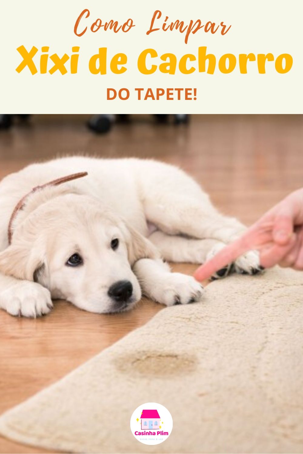O Que Tira Cheiro De Xixi De Cachorro Como Limpar Xixi de Cachorro do Tapete? Receita Infalível